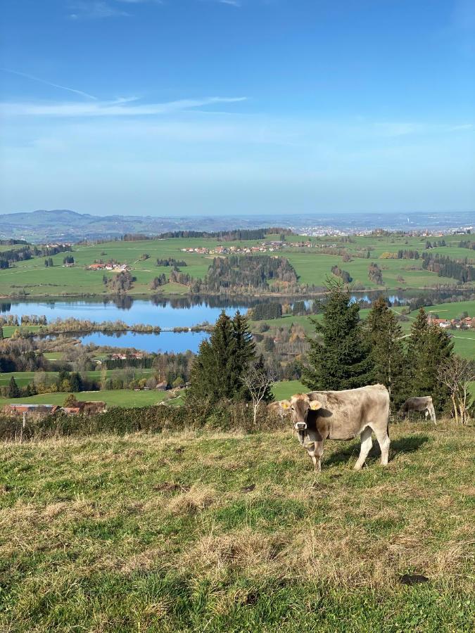 Moderne, 1-Zimmer Ferienwohnung Mit Bergblick Oy-Mittelberg Buitenkant foto