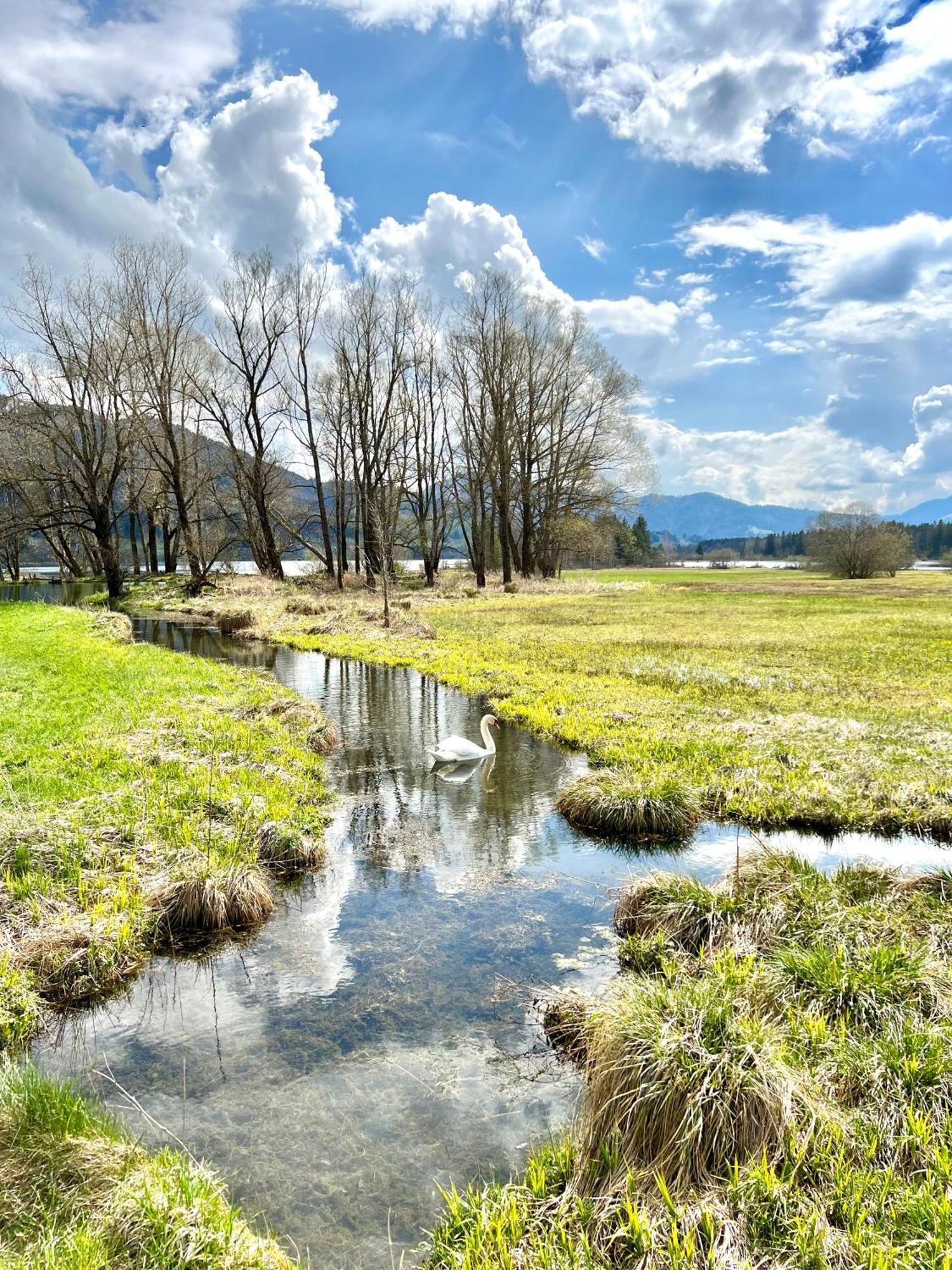 Moderne, 1-Zimmer Ferienwohnung Mit Bergblick Oy-Mittelberg Buitenkant foto